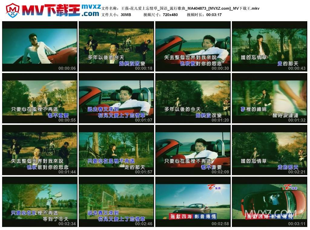 王强-花儿爱上忘情草_国语_流行歌曲_MA404873